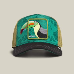 Belize Toucan